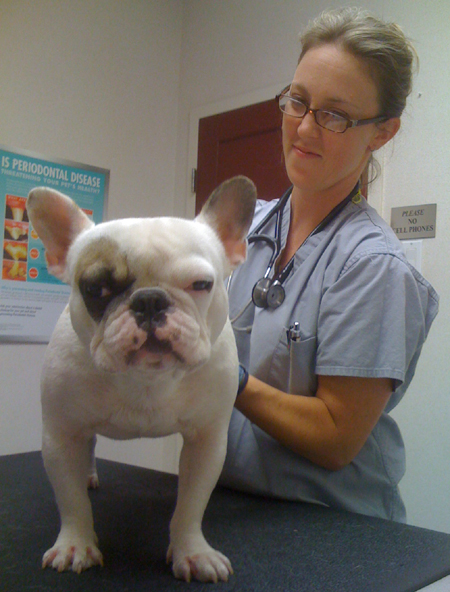 injured Rocky ... not a happy camper!